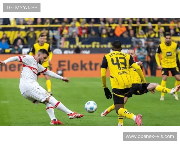 黑黄风暴:2021德甲欧冠劲旅的征途与启示